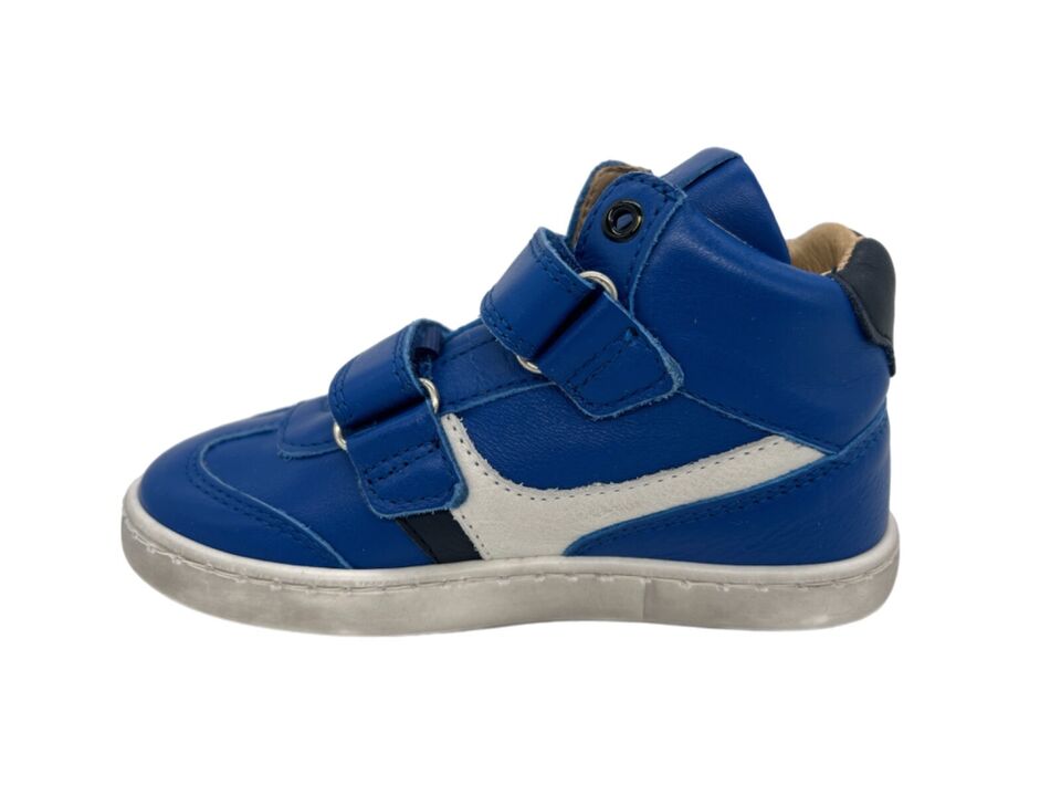 Sneaker in royal