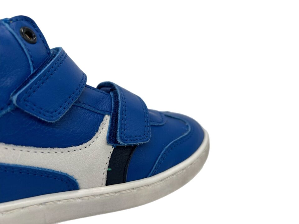 Sneaker in royal